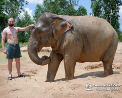 Elephant Jungle Sanctuary excursion in Pattaya Thailand - photo 93
