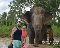 Elephant Jungle Sanctuary excursion in Pattaya Thailand - photo 315