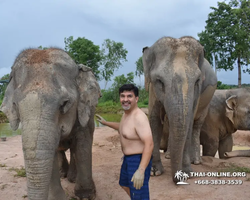 Elephant Jungle Sanctuary excursion in Pattaya Thailand - photo 585