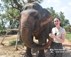 Elephant Jungle Sanctuary excursion in Pattaya Thailand - photo 59