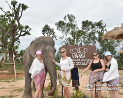 Elephant Jungle Sanctuary excursion in Pattaya Thailand - photo 194