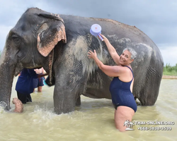 Elephant Jungle Sanctuary excursion in Pattaya Thailand - photo 857