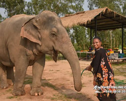 Elephant Jungle Sanctuary excursion in Pattaya Thailand - photo 504