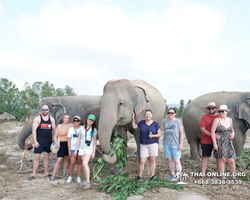 Elephant Jungle Sanctuary excursion in Pattaya Thailand - photo 744