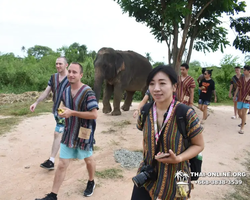 Elephant Jungle Sanctuary excursion in Pattaya Thailand - photo 475