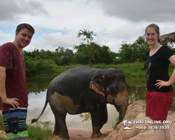 Elephant Jungle Sanctuary excursion in Pattaya Thailand - photo 1092