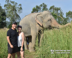 Elephant Jungle Sanctuary excursion in Pattaya Thailand - photo 51