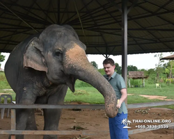 Elephant Jungle Sanctuary excursion in Pattaya Thailand - photo 976
