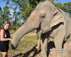 Elephant Jungle Sanctuary excursion in Pattaya Thailand - photo 30