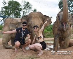 Elephant Jungle Sanctuary excursion in Pattaya Thailand - photo 188