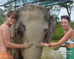 Elephant Jungle Sanctuary excursion in Pattaya Thailand - photo 552