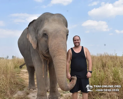 Elephant Jungle Sanctuary excursion in Pattaya Thailand - photo 870