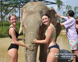 Elephant Jungle Sanctuary excursion in Pattaya Thailand - photo 362