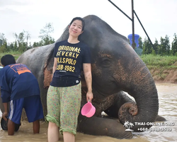 Elephant Jungle Sanctuary excursion in Pattaya Thailand - photo 720