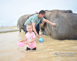 Elephant Jungle Sanctuary excursion in Pattaya Thailand - photo 1101