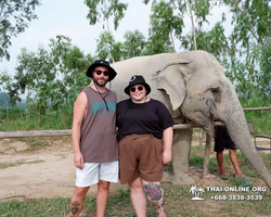 Elephant Jungle Sanctuary excursion in Pattaya Thailand - photo 36