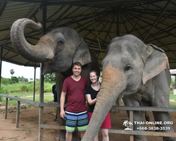 Elephant Jungle Sanctuary excursion in Pattaya Thailand - photo 793