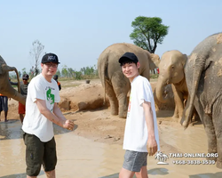 Elephant Jungle Sanctuary excursion in Pattaya Thailand - photo 1011