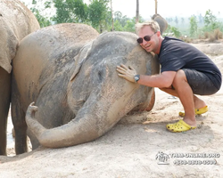 Elephant Jungle Sanctuary excursion in Pattaya Thailand - photo 377