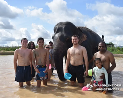 Elephant Jungle Sanctuary excursion in Pattaya Thailand - photo 1033