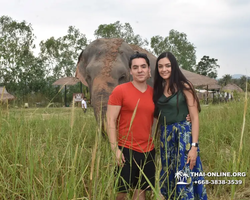 Elephant Jungle Sanctuary excursion in Pattaya Thailand - photo 229