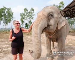 Elephant Jungle Sanctuary excursion in Pattaya Thailand - photo 375