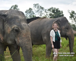 Elephant Jungle Sanctuary excursion in Pattaya Thailand - photo 674