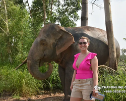 Elephant Jungle Sanctuary excursion in Pattaya Thailand - photo 121