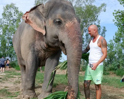 Elephant Jungle Sanctuary excursion in Pattaya Thailand - photo 246