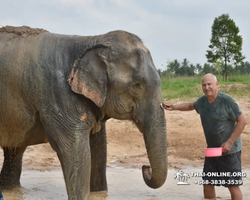 Elephant Jungle Sanctuary excursion in Pattaya Thailand - photo 836