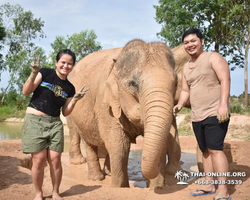 Elephant Jungle Sanctuary excursion in Pattaya Thailand - photo 111