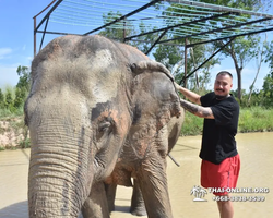 Elephant Jungle Sanctuary excursion in Pattaya Thailand - photo 119