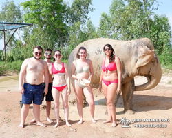 Elephant Jungle Sanctuary excursion in Pattaya Thailand - photo 27