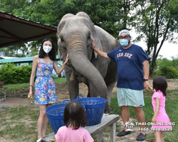 Elephant Jungle Sanctuary excursion in Pattaya Thailand - photo 177