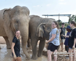 Elephant Jungle Sanctuary excursion in Pattaya Thailand - photo 850