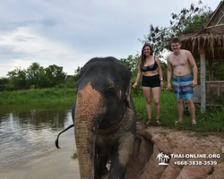 Elephant Jungle Sanctuary excursion in Pattaya Thailand - photo 891