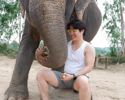 Elephant Jungle Sanctuary excursion in Pattaya Thailand - photo 426