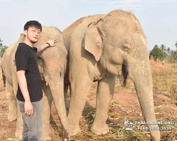 Elephant Jungle Sanctuary excursion in Pattaya Thailand - photo 550