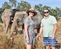 Elephant Jungle Sanctuary excursion in Pattaya Thailand - photo 24