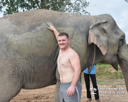 Elephant Jungle Sanctuary excursion in Pattaya Thailand - photo 261