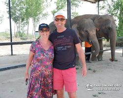 Elephant Jungle Sanctuary excursion in Pattaya Thailand - photo 441