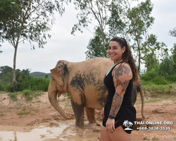 Elephant Jungle Sanctuary excursion in Pattaya Thailand - photo 345