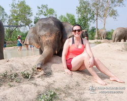 Elephant Jungle Sanctuary excursion in Pattaya Thailand - photo 187