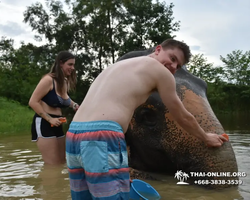 Elephant Jungle Sanctuary excursion in Pattaya Thailand - photo 767