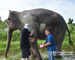 Elephant Jungle Sanctuary excursion in Pattaya Thailand - photo 742