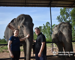 Elephant Jungle Sanctuary excursion in Pattaya Thailand - photo 770