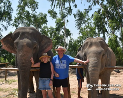 Elephant Jungle Sanctuary excursion in Pattaya Thailand - photo 81