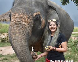 Elephant Jungle Sanctuary excursion in Pattaya Thailand - photo 215