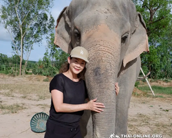 Elephant Jungle Sanctuary excursion in Pattaya Thailand - photo 14