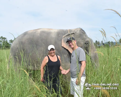 Elephant Jungle Sanctuary excursion in Pattaya Thailand - photo 598